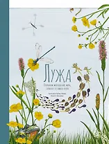 Лужа. Открываем многообразие мира, скрытого от нашего взора