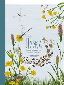 Лужа. Открываем многообразие мира, скрытого от нашего взора