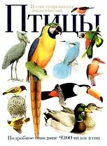 Птицы.Руководство по птицам мира