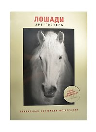 Лошади Уникальная коллекция фотографий Картины (317х445)