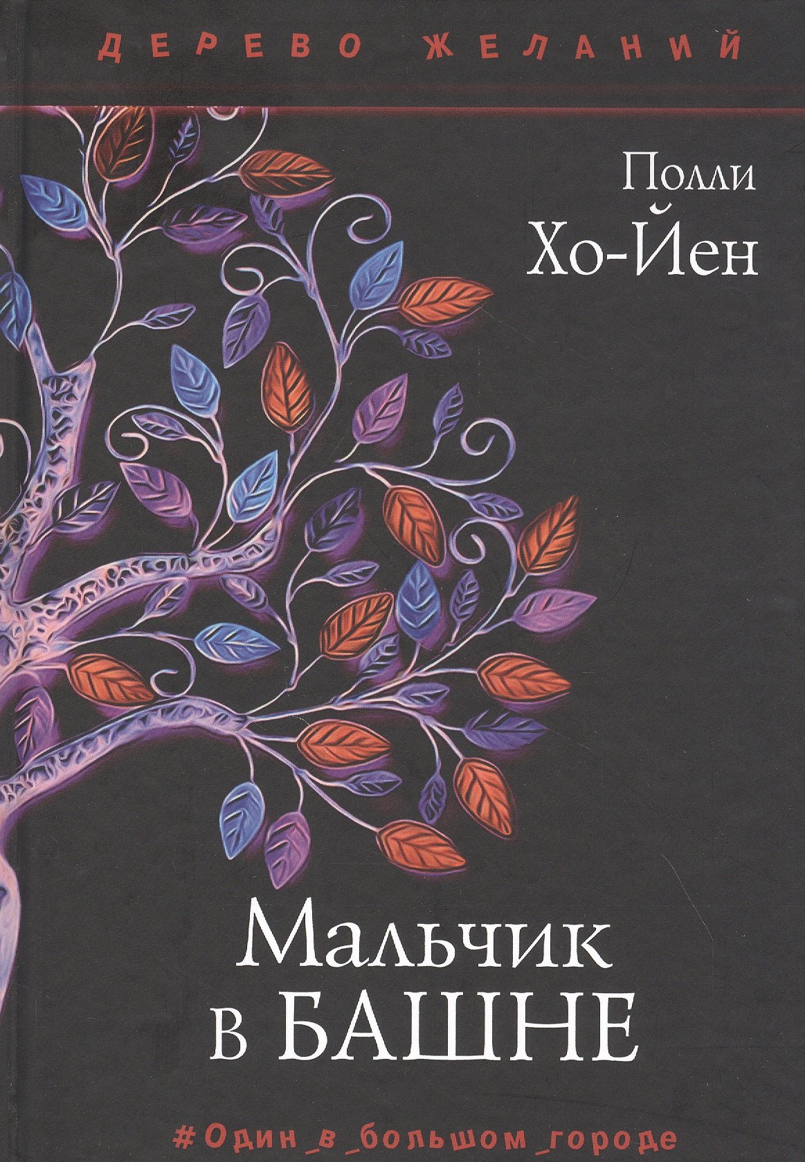 

Мальчик в башне