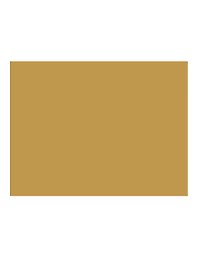Бумага для пастели 50*65 "Mi-Teintes" 160г/м2 №400 канареечный, Canson