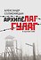 Архипелаг ГУЛАГ, 1918-1956 : опыт художественного исследования : в одном томе - 0