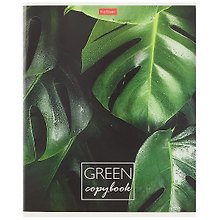 Тетрадь общая «MOREgreen», 96 листов в клетку, А5, в ассортименте - Hatber