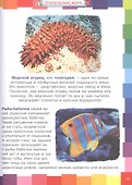 Животные морей и океанов. Энциклопедия для самых маленьких - 2