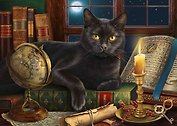 Набор для творчества Рыжий Кот. Алмазная мозаика классическая «Черный кот на столе», 30 х 40 см, 20 цветов, с частичным заполнением