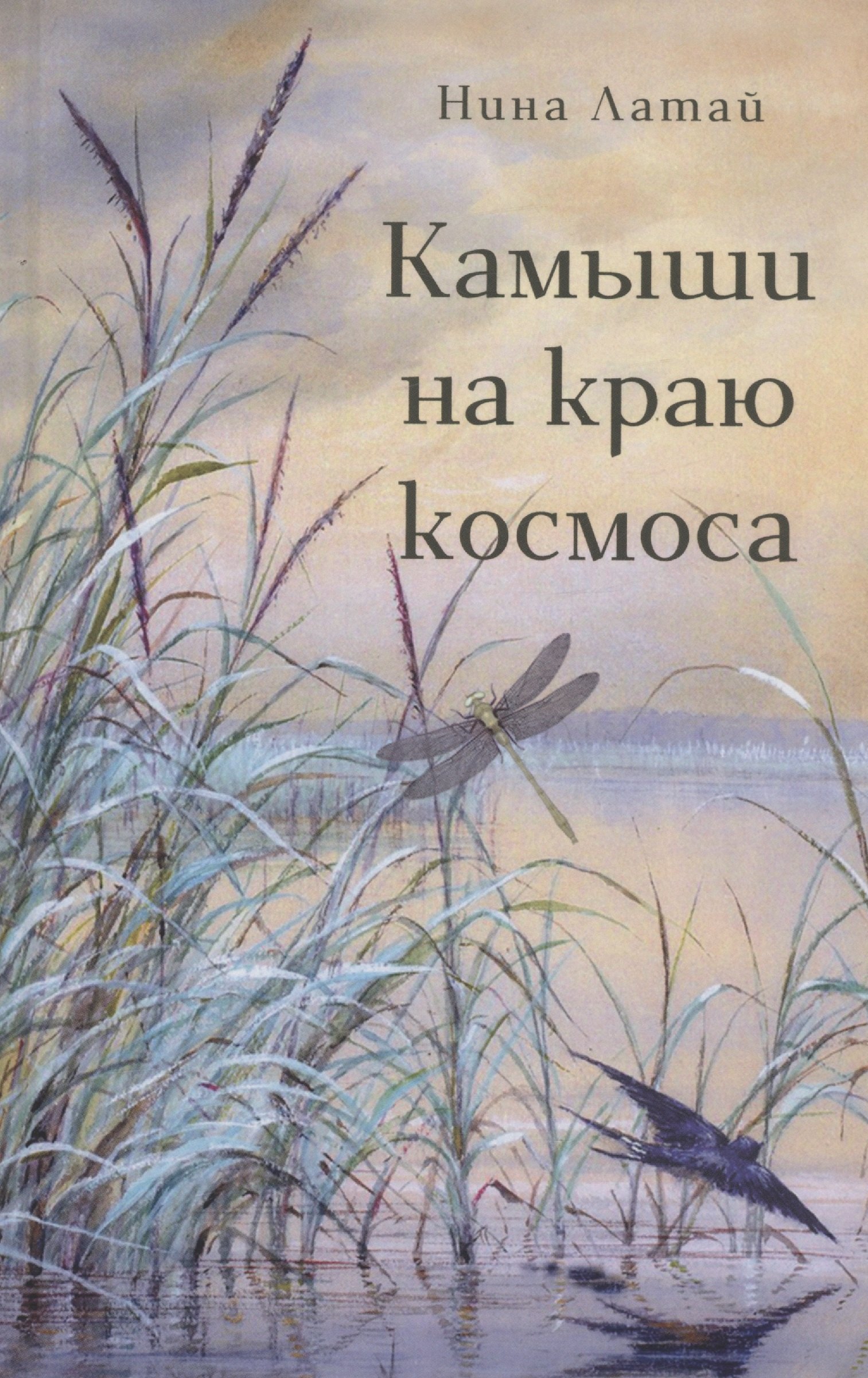 

Камыши на краю космоса