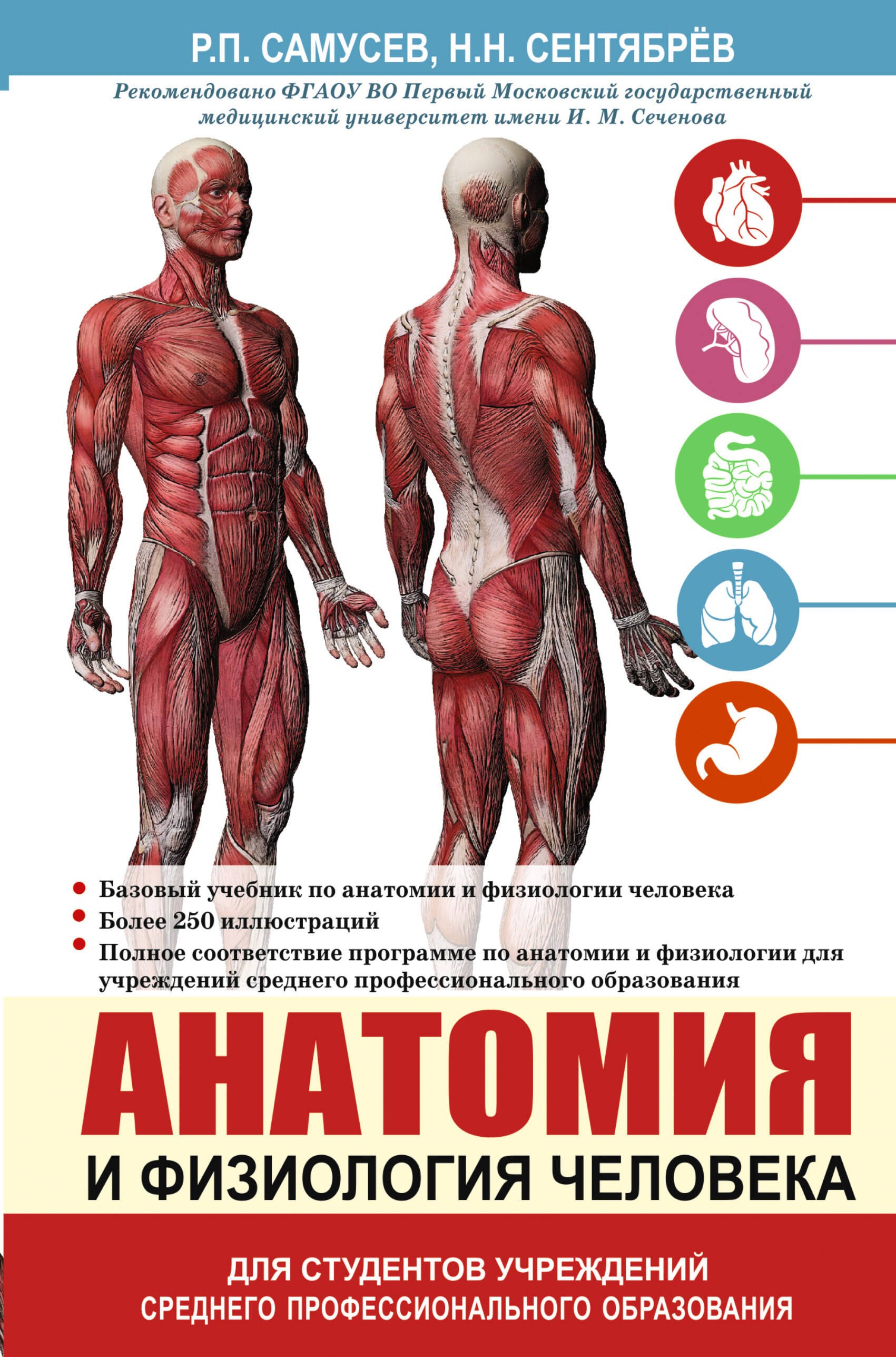 

Анатомия и физиология человека. Учебное пособие для студентов учреждений среднего профессионального образования