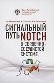 Сигнальный путь Notch в сердечно-сосудистой системе - 0