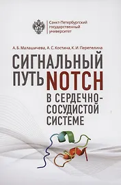 Сигнальный путь Notch в сердечно-сосудистой системе