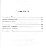 Царевич Димитрий. Исторический роман - 1