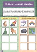 Окружающий мир (5-6 лет) - 2
