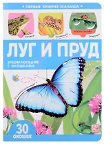 Луг и пруд: книжка с окошками