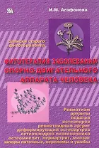 Фитотерапия заболеваний опорно-двигательного аппарата человека