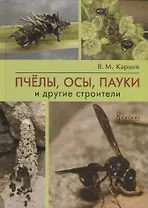 Пчелы, осы, пауки и другие строители