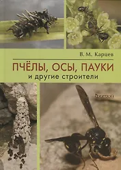 Пчелы, осы, пауки и другие строители