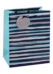 Пакет А5 23*18*10 "Голубые полосы" жен., бум.мат.ламинат