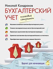 Бухгалтерский учет: пошаговый самоучитель