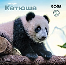 Панда Катюша. Календарь на 2025 год (300х300 мм)