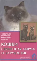 Кошки священная бирма и бурмезские