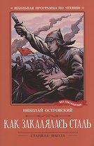 Как закалялась сталь: роман