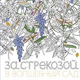 За стрекозой в волшебный сад
