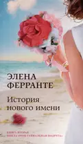 История нового имени. Юность. Моя гениальная подруга. Книга 2