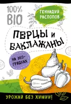 Перцы и баклажаны на эко грядках. Урожай без химии