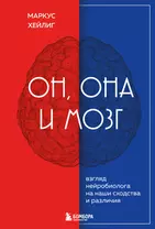 Он, она и мозг: взгляд нейробиолога на наши сходства и различия