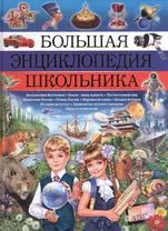 Большая энциклопедия школьника