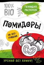 Помидоры на эко грядках. Урожай без химии