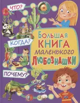 Большая книга маленького любознашки. Что? Когда? Почему?