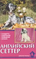 Английский сеттер