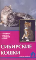 Сибирские кошки. Содержание. Кормление. Разведение. Лечение