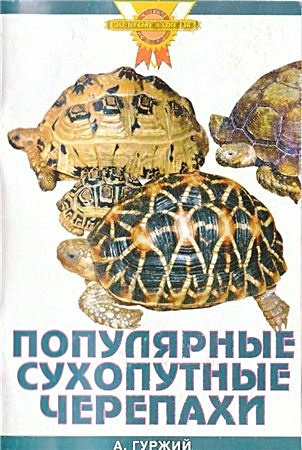 Популярные сухопутные черепахи