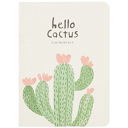 Записная книжка «Hello cactus», 24 листа, А6