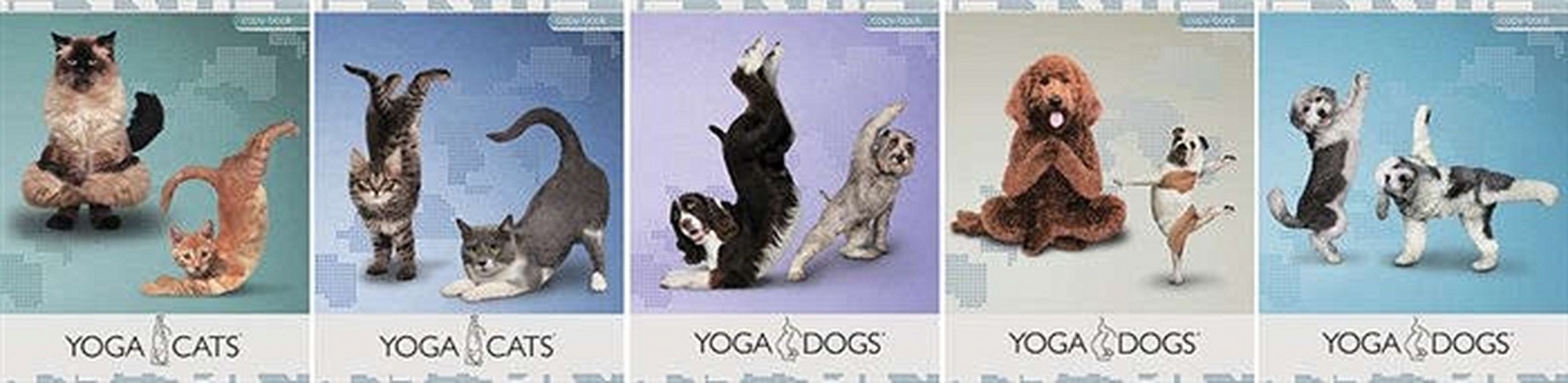 Тетрадь 96л. А5 клетка Полиграф Принт Серия "Yoga Dogs" выб. лак в асс. ЕАС-YD47/5