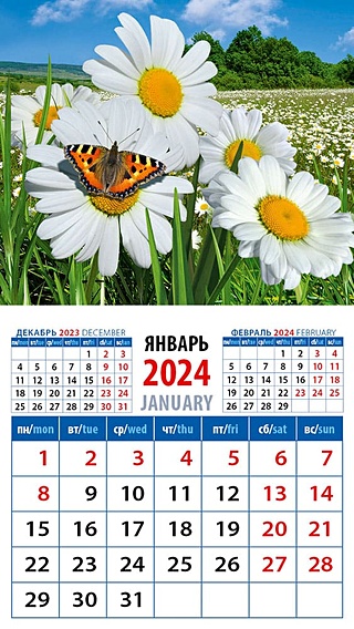 Календарь 2024г 94*167 "Ромашки с бабочкой" на магните