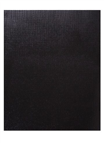 Тетрадь "METALLIC черный", клетка, 48 листов