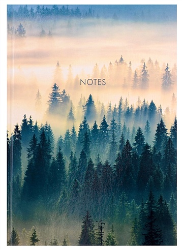 Книга для записей А4 100л кл. "Туманный лес" 7БЦ, глянц.ламинация