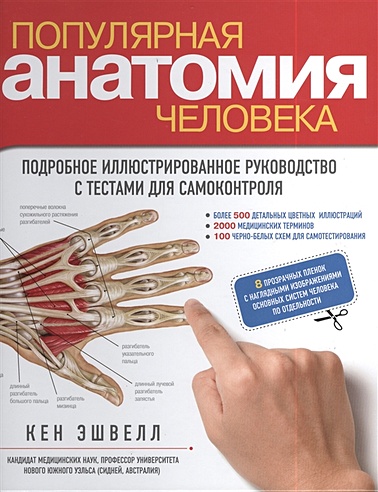 Популярная анатомия человека. Подробное иллюстрированное руководство с тестами для самоконтроля