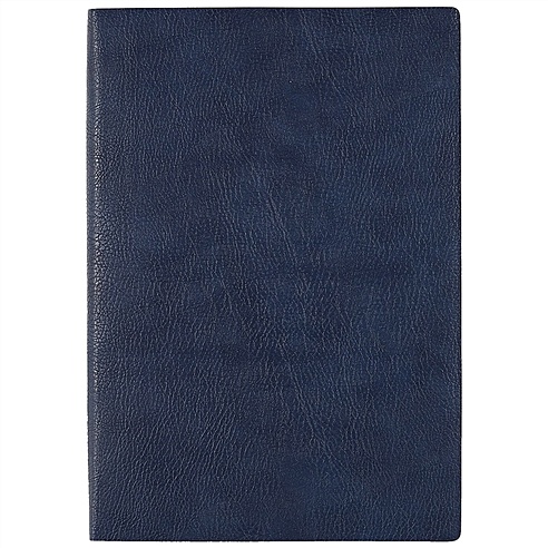 Ежедневник недатированный "Шеврет экстра", А5, 120 листов, синий