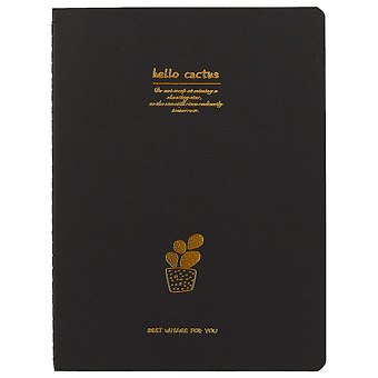 Тетрадь Black Cactus, B5, 28 листов, в ассортименте