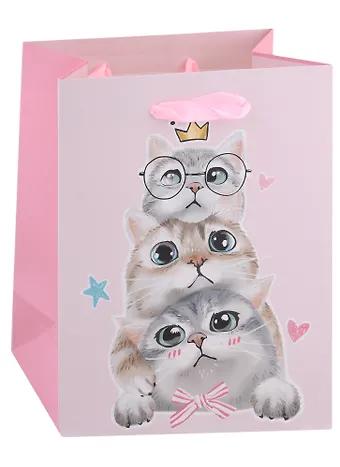 Пакет А5 23*18*10 Kittens on party жен., бум.мат.ламинат