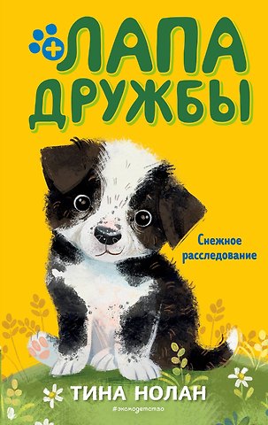 Т. Нолан Снежное расследование (#9)