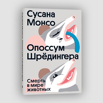 Сусана Монсо Опоссум шредингера
