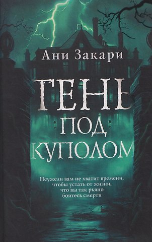 Ани Закари Тень под куполом
