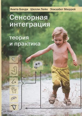 Анита Банди Сенсорная интеграция. Теория и практика