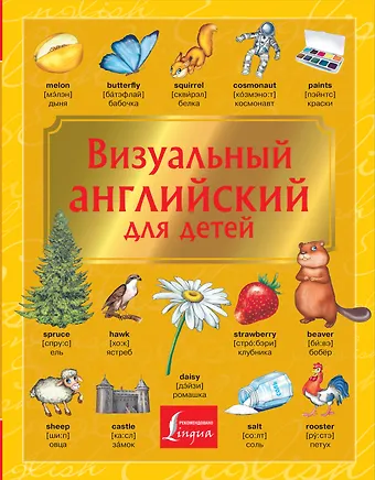 Виктория Александровна Державина Визуальный английский для детей