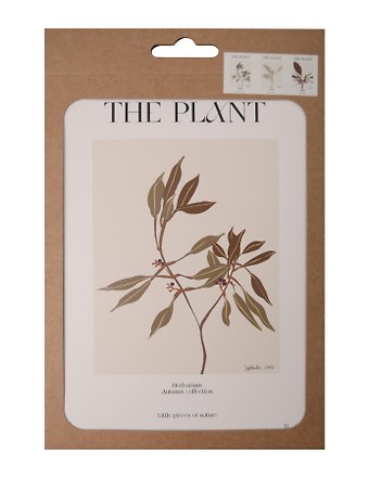 Набор постеров 13*18 The Plant, 3 штуки